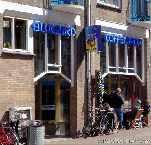 Bluebird Coffeeshop Amsterdam