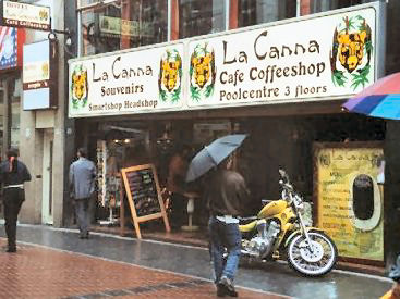 Anna Coffeeshop Amsterdam