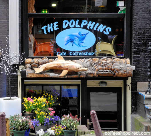 Dolphins Coffeeshop Amsterdam